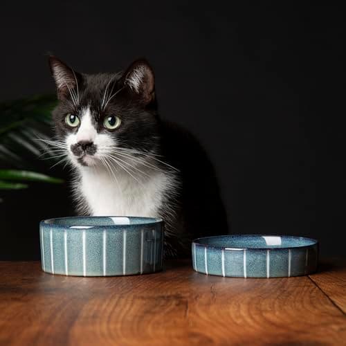 Image of Scruffs Ceramic Heavy Duty Reactive Glaze Cat Bowls - 2pc Set - Grey Pinstripe