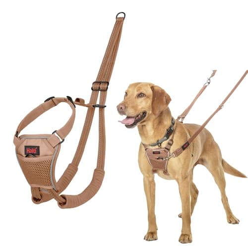 Image of Halti No Pull Harness - Stop Your Dog Pulling on the Leash. Adjustable, Lightweight and Easy to Use. Reflective Dog Training Harness for Medium Dogs (Size M, Desert Sand)