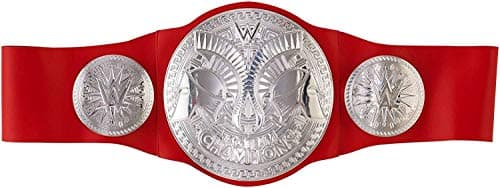Image of WWE FLB13 RAW Tag Team Championship Title Belt