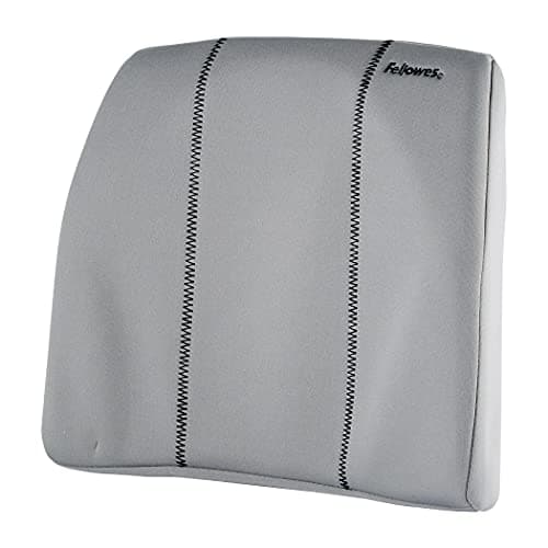 Image of Fellowes Slimline Back Support for Office Chair