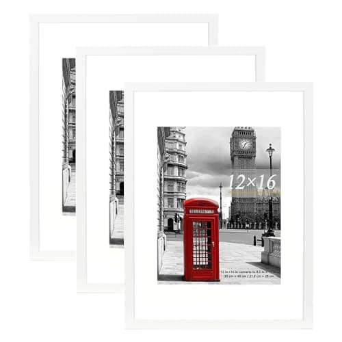 Image of Scholar Tree picture frames White set of 3, 12x16in(30x40cm ) Poster Frame,Wall Mountable