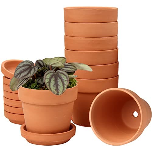 Image of Hollyone 8 pcs 5.1"x5.1" Mini Terracotta Pots with Drainage Hole and Saucers, Clay Plant Pots Pottery Flower Pots Indoor Outdoor, Small Succulent Planters Set for House Home Garden Decor