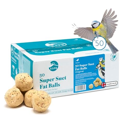 Image of RSPB - Fat Balls, Bird Food for Outside Birds, High Energy Suet Balls, Made in the UK, Delicious and Nutritious, Suitable for Year-Round Feeding (Box of 50)
