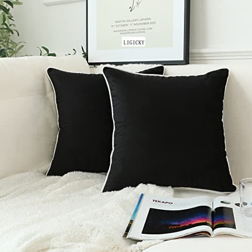 Image of LIGICKY Set of 2 Black Velvet Throw Pillow Covers Modern Minimalist Style Solid Decorative White Rope Edging Soft Square Cushion Cases for Sofa Bedroom Party Décor, 20x 20 inch