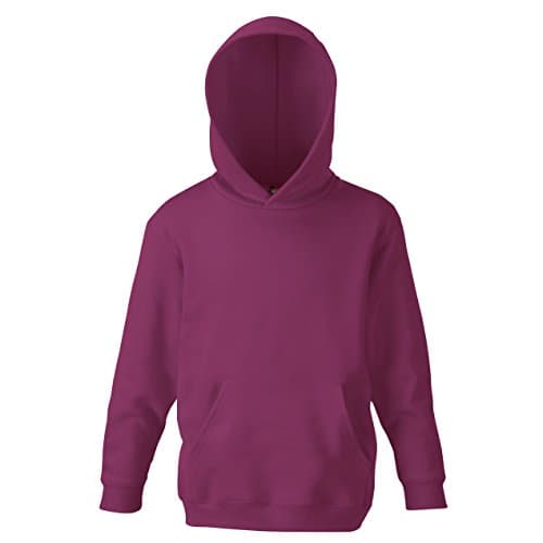 Image of Fruit of the Loom Kids Unisex Classic 80/20 Hoodie (5-6) (Burgundy)