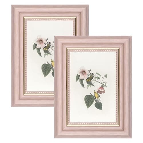 Image of YoHyien 6x4 Vintage Photo Frames Set of 2, Distressed Shabby Chic Picture Frames with Mount for Wall Hanging, Landscape and Portrait Retro Postcard Frame for Desktop Display (Pink, 6 x 4 in)