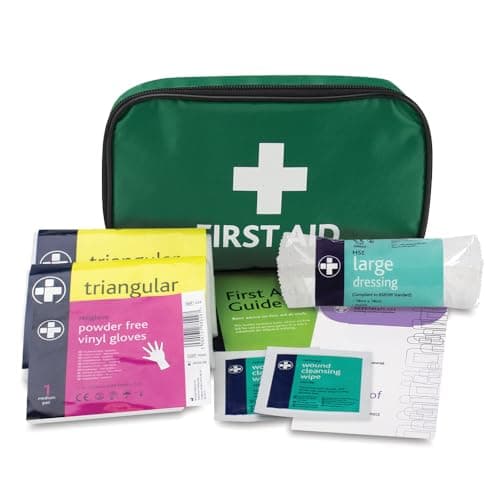 Image of RELIANCE MEDICAL HSE 1 Person First Aid Kit in Small Green Pouch for Home Car Holiday and Workplace - Essentials for Everyday Situations