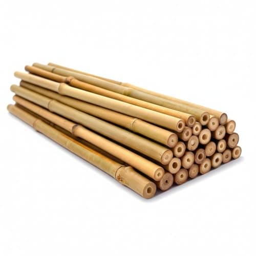 Image of Bamboo Canes for Garden – Strong Natural Garden Canes & Bamboo Sticks for Plants, Durable Plant Support Canes for Climbing Plants, Vegetables & Trees (3ft/4ft/5ft) (10, 4ft)