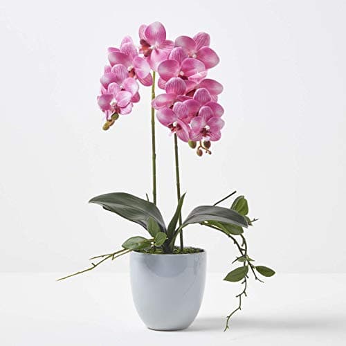 Image of HOMESCAPES Artificial Pink Orchid in Pot 54 cm Tall Lifelike Faux Orchid Plant In Grey Ceramic Pot Real Touch Silk Flowers and Green Leaves Phalaenopsis Orchid Flower for Indoor Decoration