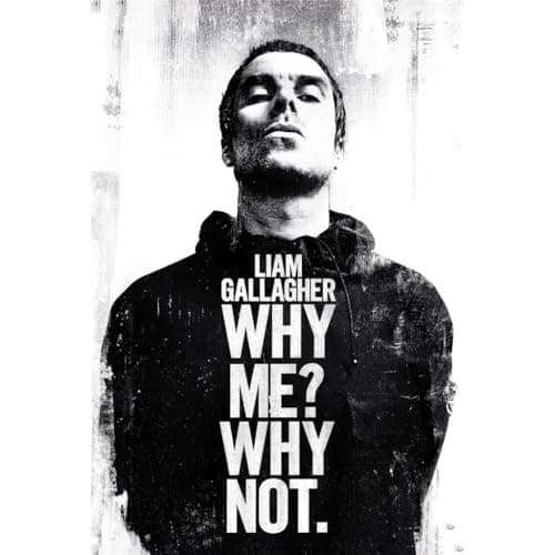 Image of Pyramid International Liam Gallagher (Why Me Why Not) Maxi Poster, 61cm x 91cm, One Size