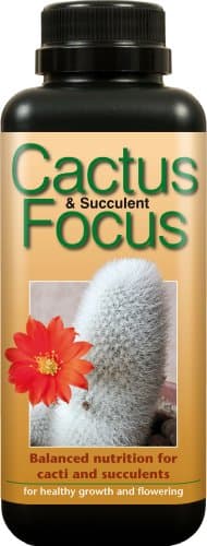 Image of Cactus and Succulent Focus 500ml