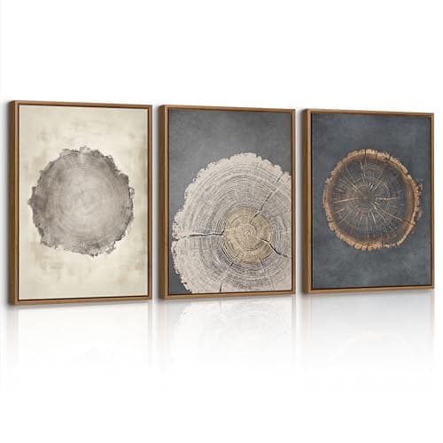Image of 3 Pcs Framed Vintage Tree Rings Wood Canvas Wall Art Prints, Retro Wood Stump Wall Painting Nature Beige Grey Farmhouse Rustic Canvas Pictures Artwork Home Decor for Living Room Bedroom 30X40cmx3 Pcs