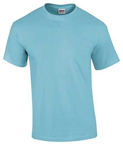 Image of Gildan Mens Heavy Cotton Short Sleeve T-Shirt (M) (Sky)