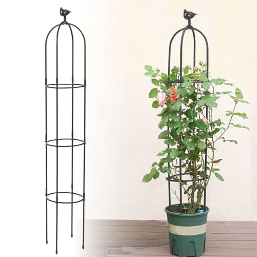 Image of 6 Feet Tall Garden Trellis for Climbing Plants Kalolary Garden Tower Obelisk Trellises Rustproof Metal Potted Plant Climbing Support for Indoor Outdoor Flowers Vegetable Fruits Vines Support (Black)