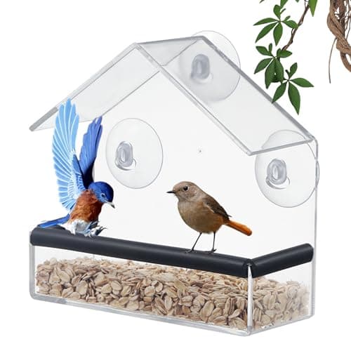 Image of Shudyear Window Bird Feeder, Bird House for Outside with Rubber pad, Small Acrylic Window Bird Feeder with Strong Suction Cups and Drain Holes 6.2 * 2.4 * 6.2 in