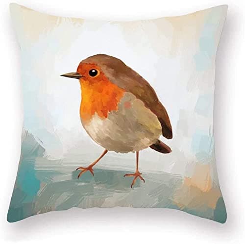 Image of The Beach Stop Decorative Sweet Robin Redbreast Bird Scatter Cushion Cover | Living Room, Bedroom & Sofa Decor | 45x45cm 18x18” | Abstract Robin