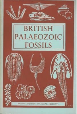 Image of British palaeozoic fossils.