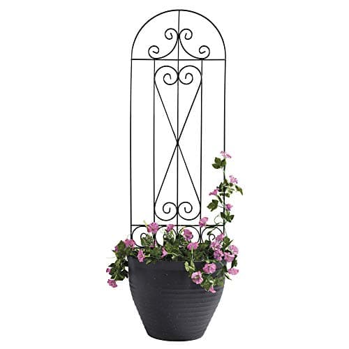 Image of Garden Gear 1.2 Metre Metal Plant Support Trellis, 3 Decorative Designs for Borders, Flowerbeds, Plant Pots & Pathways Birds, Leaf or Swirl (Swirl Design)