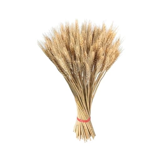 Image of 100 Stems 55cm Dried Wheat Sheaves | Dry Wheat Grass Bouquet | Dried Wheats Stalks For Decor | Large Golden Dry Wheats Bunch For Craft, Wedding Decor, Autumn Wreath Decoration