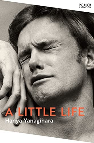 Image of A Little Life (Picador Collection)