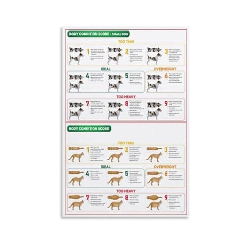 Image of AUOQKQUT Veterinary Education Wall Art - Dog & Cat Body Condition Score (BCS) Reference Poster, Informative Decor for Animal Hospital, Pet School, or Enthusiast's Home(Unframed,16x24inch(40x60cm))