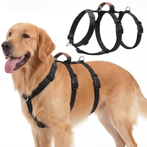 Image of Ledeak Escape Proof Dog Harness, Adjustable No Pull Harness with Soft Padded Handle, Adjustable Anti-Pull Pet Vest for Medium and Large Dogs Outdoor Training Walking, Escape-Proof Design (Black, M)