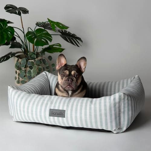 Image of Scruffs Coastal Dog/Pet Box Bed (L)
