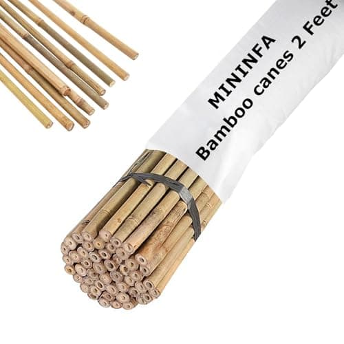 Image of Mininfa Natural Bamboo Sticks 60 cm, Eco-Friendly Bamboo Poles, Bamboo Sticks, Plant Sticks for Tomatoes, Trees, Beans, Pack of 50