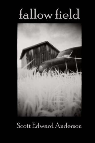 Image of Fallow Field