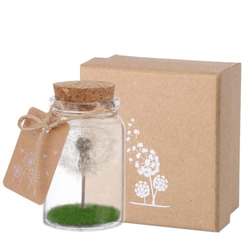 Image of JIZZU Real Dandelion in a Glass with Gift Box, Eternal Dandelion Light Decoration for Birthday, Led String Light Gift for Women, Romantic Gifts for Girlfriend Birthday, Mother's Day Gifts for Mum