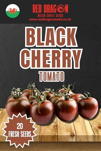 Image of Black Cherry Tomato Seeds 20 Fresh Black Cherry Tomato Seeds