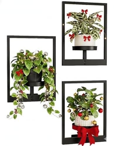 Image of Bamworld Hanging Planters for Indoor Plants Wall Decor Living Room Plant Stand Indoor Wall Planters Plant Hanger Window Plant Shelves 3 Pack for Outdoor Entryway
