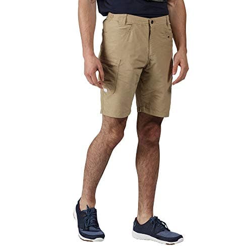 Image of Regatta Mens Delgado Cargo Shorts, Oat, 32
