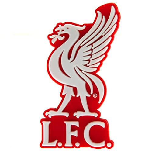 Image of Official Liverpool FC 3D Fridge Magnet