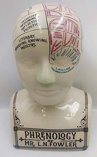 Image of F&G Supplies Wonderful Crackle Ceramic Large Tattoo Phrenology head - A fun modern take on the Victorian art of Phrenology 30cm tall