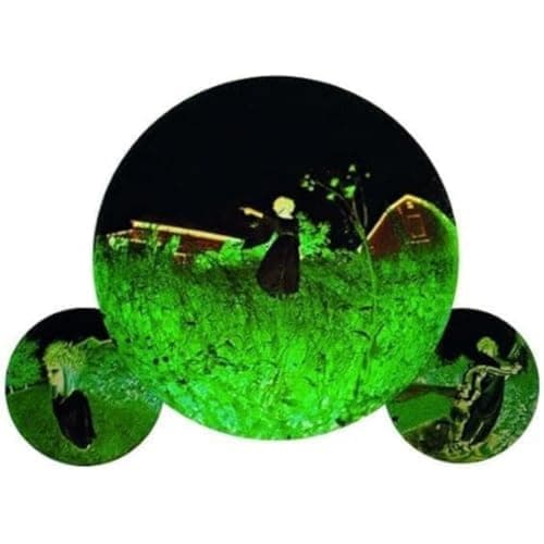 Image of The Advancement [VINYL]