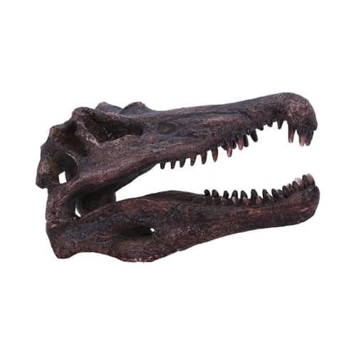 Image of Nemesis Now Dinosaur Skull Statue - Gifts & Decor for Paleontology Enthusiasts and Collectors - Hand-Painted Resin Dinosaur Fossil - Spinosaurus