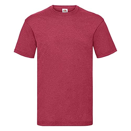 Image of Fruit of the Loom Mens Valueweight Short Sleeve T-Shirt (S) (Vintage Heather Red)