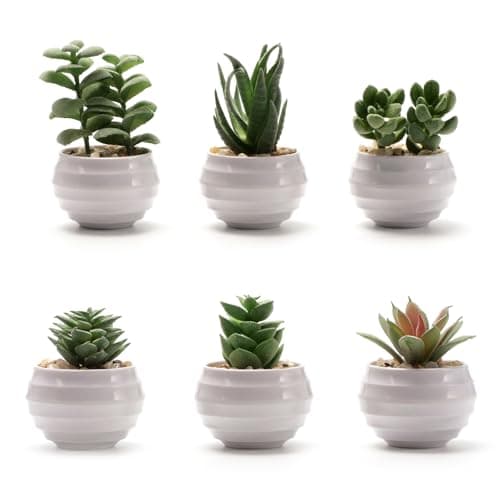 Image of BERRYLION 6 Packs Succulents Fake Plants,Small Artificial Plants Indoor,Green Bookshelf Décor,Faux Plants for Home Décor,White Potted Fake Plant for Room Decor (6, 1)