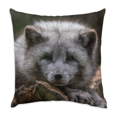 Image of Fabulous White Velvet Cushion Cover – Baby Arctic Fox Living Plush Animal Life – 40 x 40 cm Velvet Feel