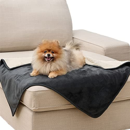 Image of LE SURE Waterproof Dog Blanket Washable - 100x80cm Fleece Pet Blanket For Medium Dogs and Cats, Personalised Kitten Throw Protects Bed and Sofa with Soft Plush, Grey Black