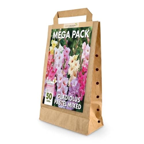 Image of Mega Pack Gladiolus Pastel Colours Bulbs | 50 Mixed Summer Flowering Bulbs | Bee & Butterfly Friendly | Eco Packaging | Premium Holland Selection Quality