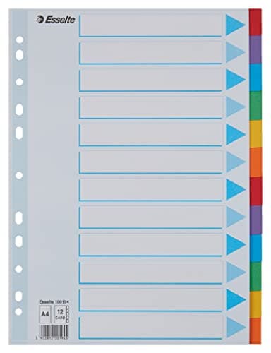 Image of Leitz Esselte A4 12 Positions Index Divider 100194