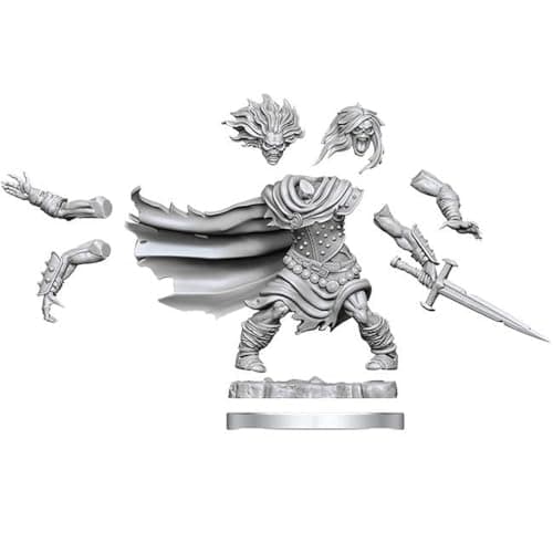 Image of 212 Main Dungeons & Dragons Frameworks Wave 1 Wight Miniatures