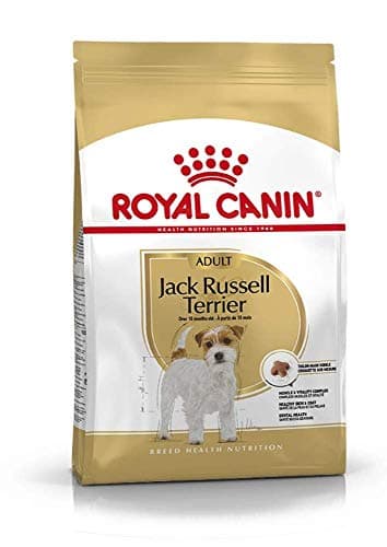 Image of Royal Canin Dog Food Jack Russell Complete 7.5KG