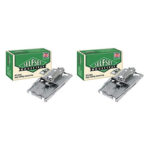 Image of Self-Set AMZ160 Mouse Trap Pack of 2, Silver