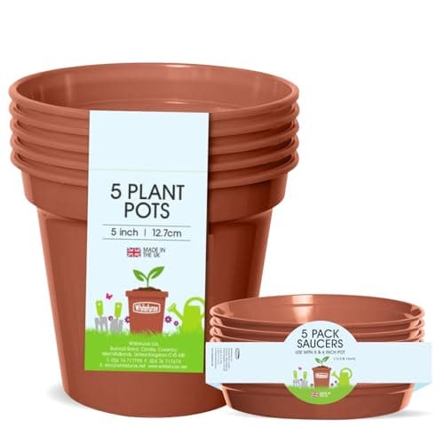 Image of Whitefurze Plant Pots with Saucers, 12.7 cm, Set of 5, Terracotta, Made in UK