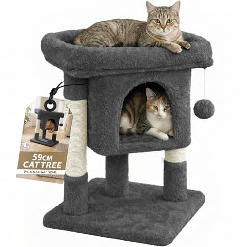 Image of Rex & Roxy Cat Tree 59cm | Cat Tower with Oversized Perches, Condo and Hanging Ball | Pet Furniture House for Kittens | Cat Scratching Post for Scratching, Playing and Sleeping | Grey
