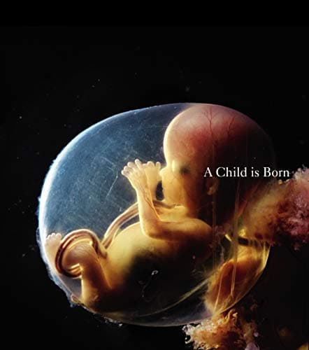 Image of A Child is Born