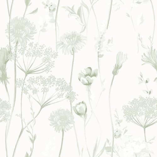 Image of Muriva Catherine Lansfield Meadowsweet Floral Themed Flower Siluette Romantic Wallpaper for Living Room, Bedroom, Hallway, Feature Wall- Sage Green/White 165584